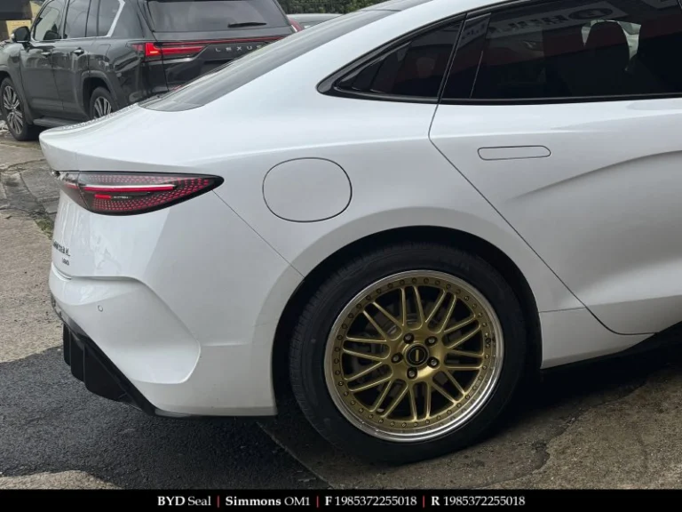 BYD on 19 Inch Simmons OM-1