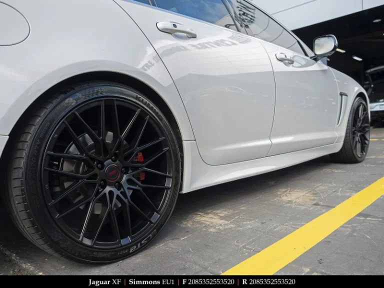 Jaguar on 20 Inch Simmons EU1